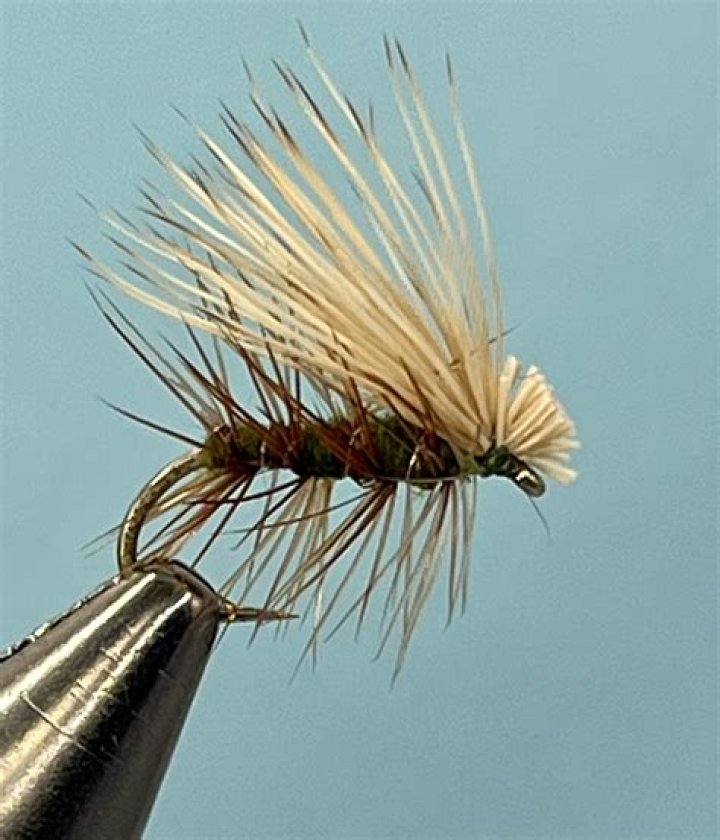 Are elk hair caddis dry flies?