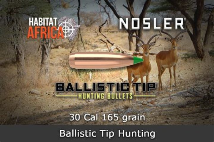 Are Nosler ballistic Tips good for hunting?