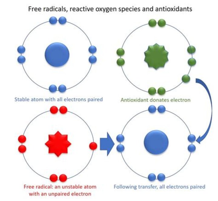 Are oxygen radicals stable?