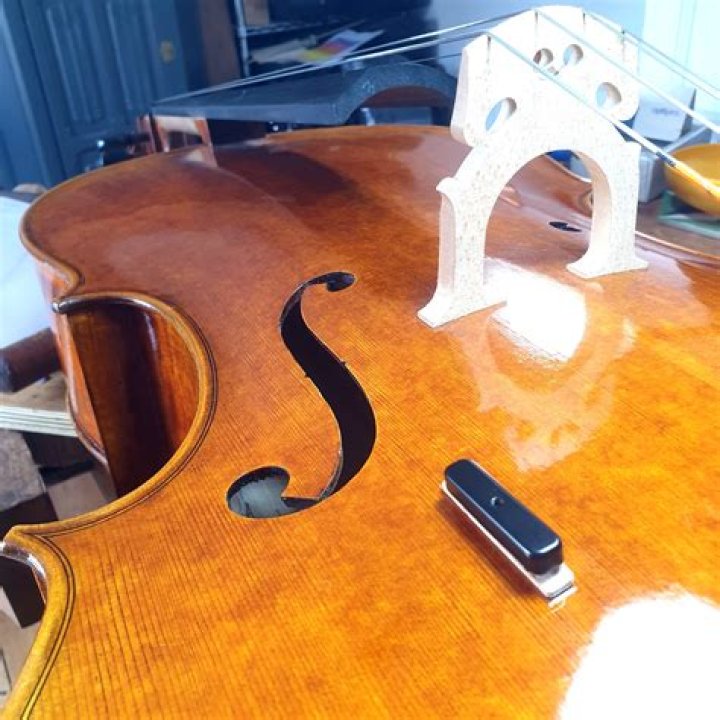 Are string dampeners worth it?