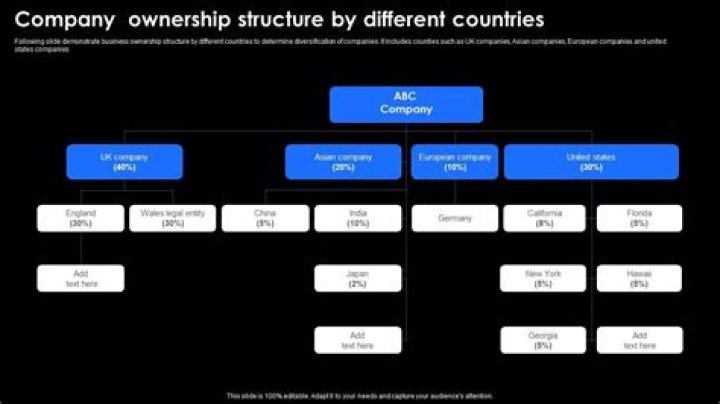 Can a company own 100% of another company?