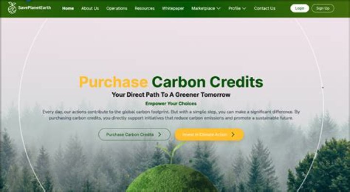 Can I buy carbon credits?