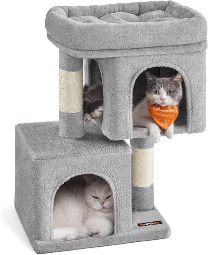 Can I buy two condos and combine them?