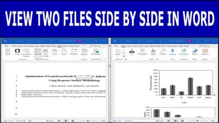 Can I view two Word documents side by side?