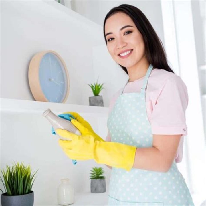 Can you claim house cleaning on taxes?