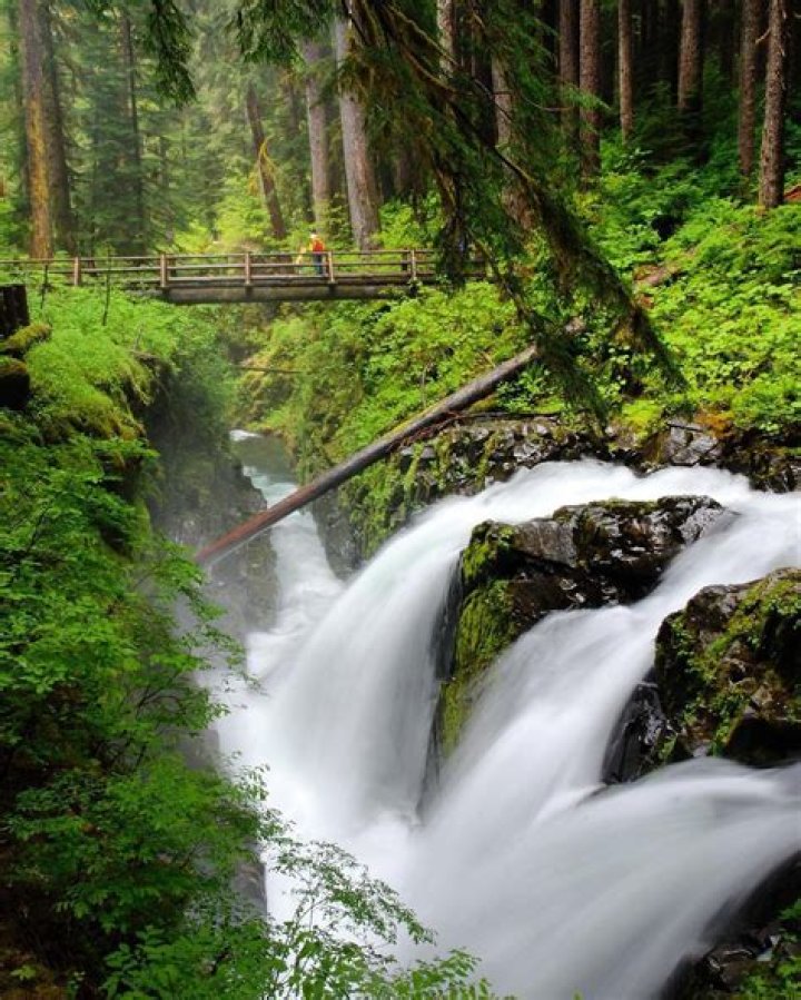 Can you swim in the Sol Duc hot springs?