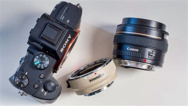 Can you use Canon EF lenses on Sony?