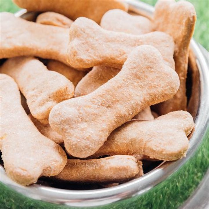 Can you use regular flour to make dog treats?