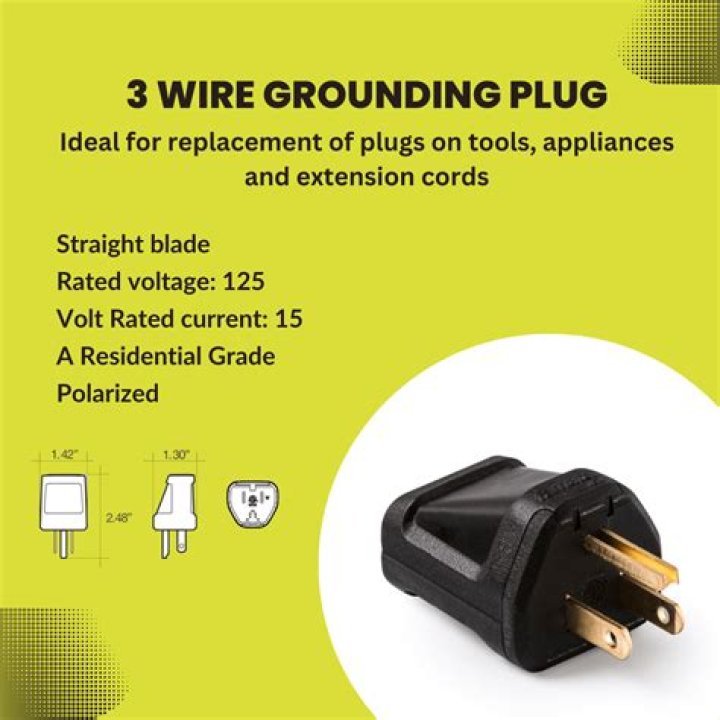 Do Japanese plugs have ground?
