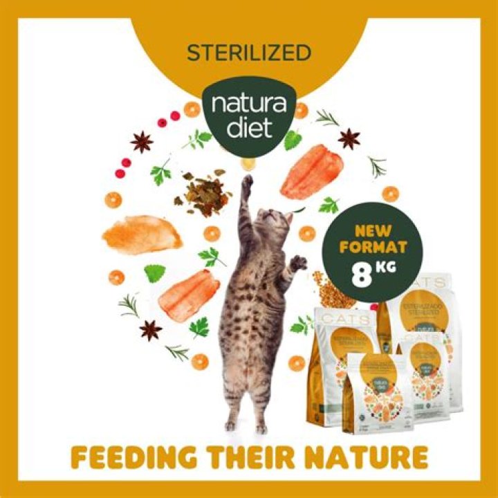 Do sterilized cats need special food?
