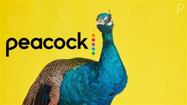 Does FiOS have peacock TV?
