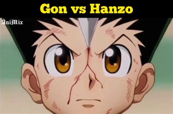 Does Gon win against Hanzo?