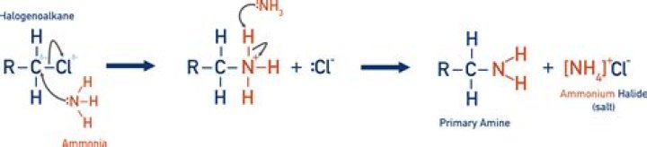 Does Haloalkanes react with ammonia?
