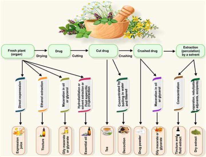 Does homeopathic medicine work for colds?