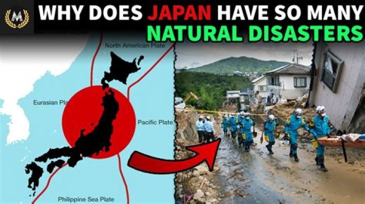 Does Japan have a refugee law?