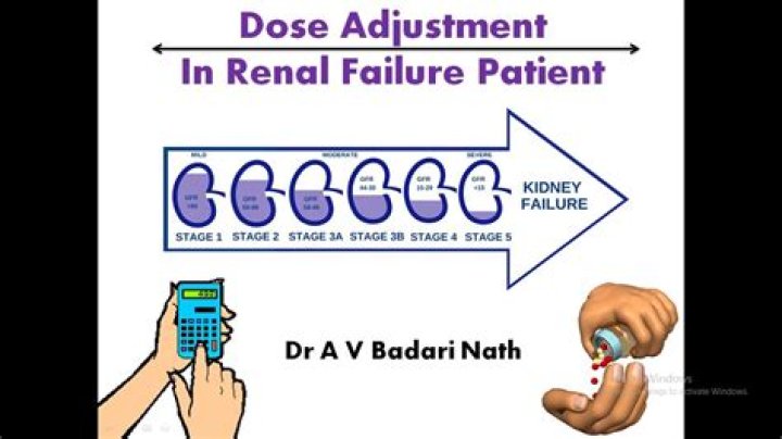 Does meropenem need renal adjustment?