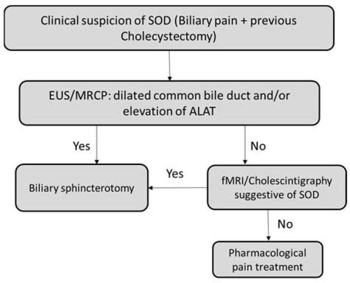 Does Tramadol affect sphincter of Oddi?