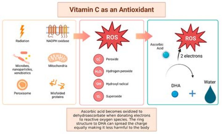 Does vitamin C prevent nitrosamines?