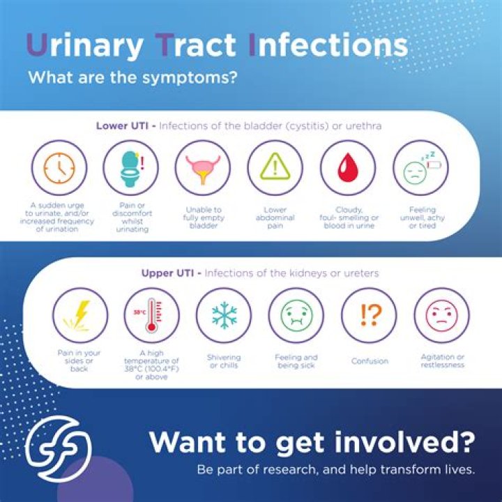 How can a male treat a UTI at home?