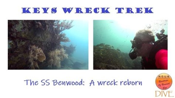 How deep is the Benwood Wreck in Key Largo?