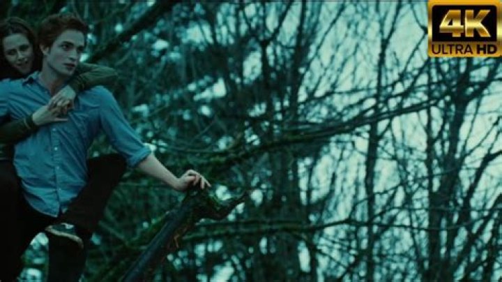 How did they film the treetop scene in Twilight?