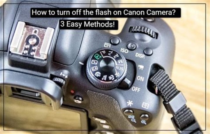How do I use the flash on my Canon Rebel T3i?
