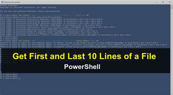 How do you cat first 10 lines of a file?