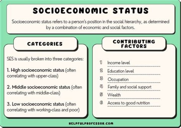 How do you determine economic status?