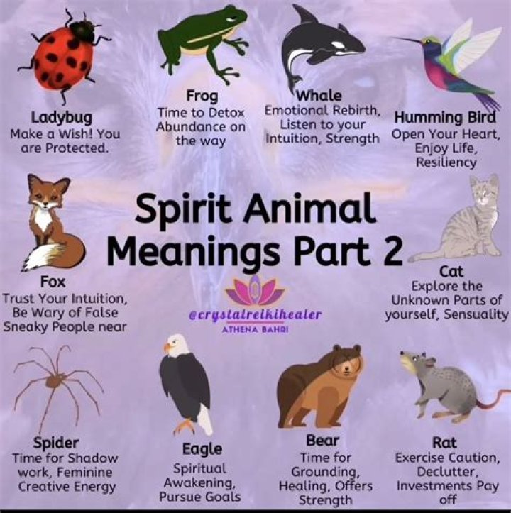 How do you find out what your animal spirit guide is?