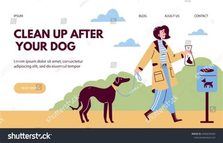 How do you get someone to clean up after their dog?