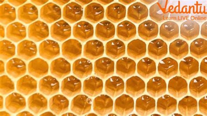 How do you harvest honeycomb from Beehive?