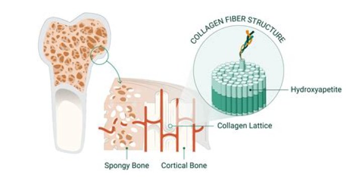 How do you increase collagen production?