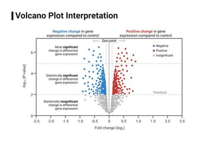 How do you interpret a vancomycin trough?