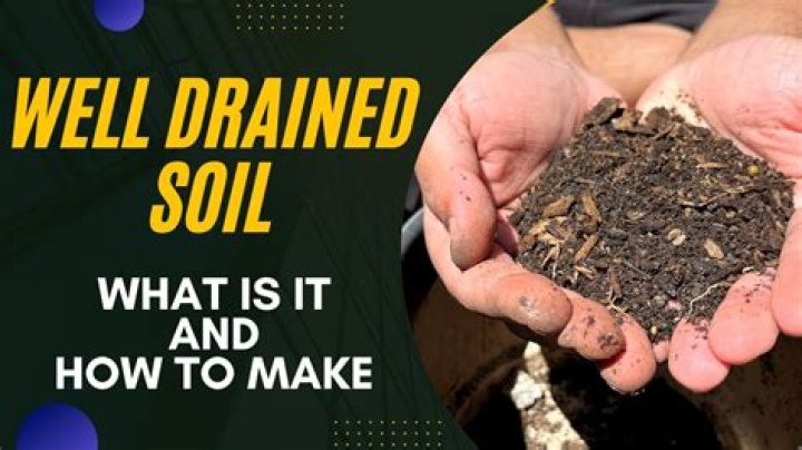 How do you make potting soil well-draining?
