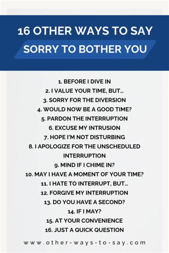 How do you say sorry for a question?