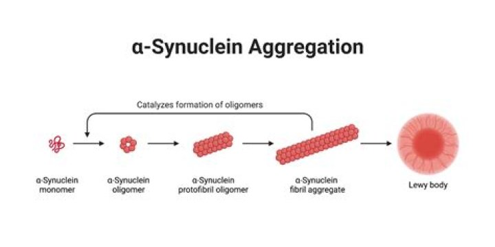 How do you test for alpha-synuclein?