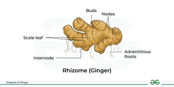 How do you zest ginger?