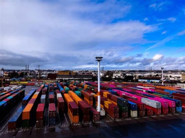 How does a container terminal work?