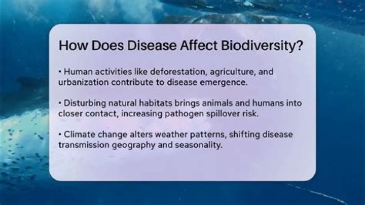 How does disease affect biodiversity?