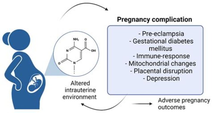 How does homocysteine affect pregnancy?