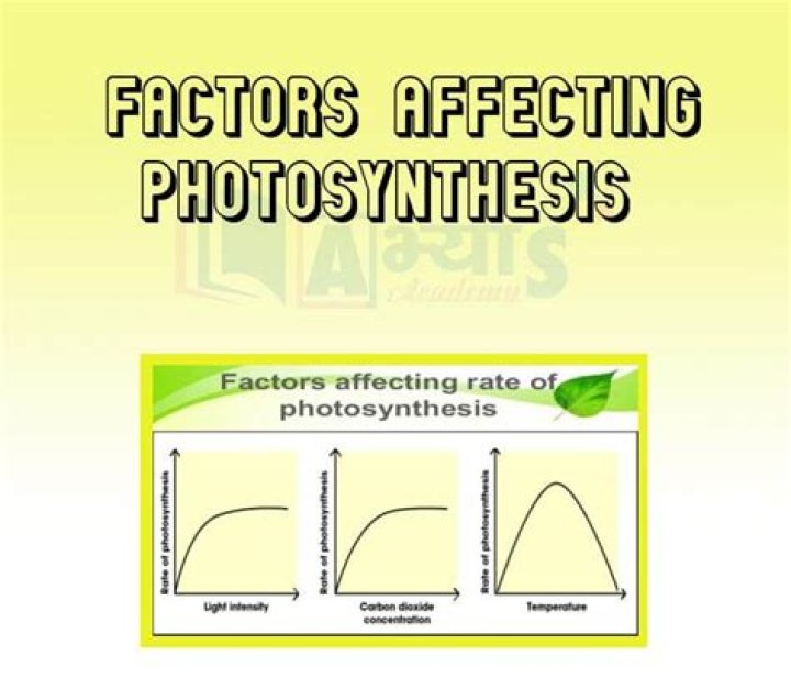How does light affect oxidation?
