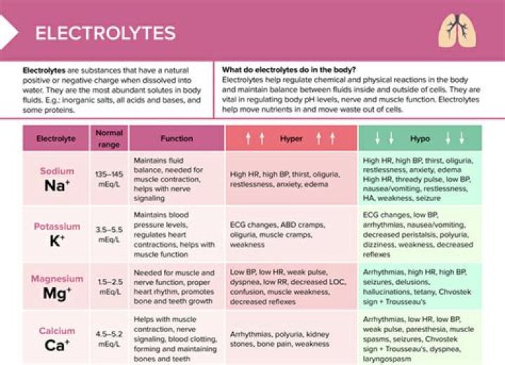 How does sodium maintain electrolyte balance?
