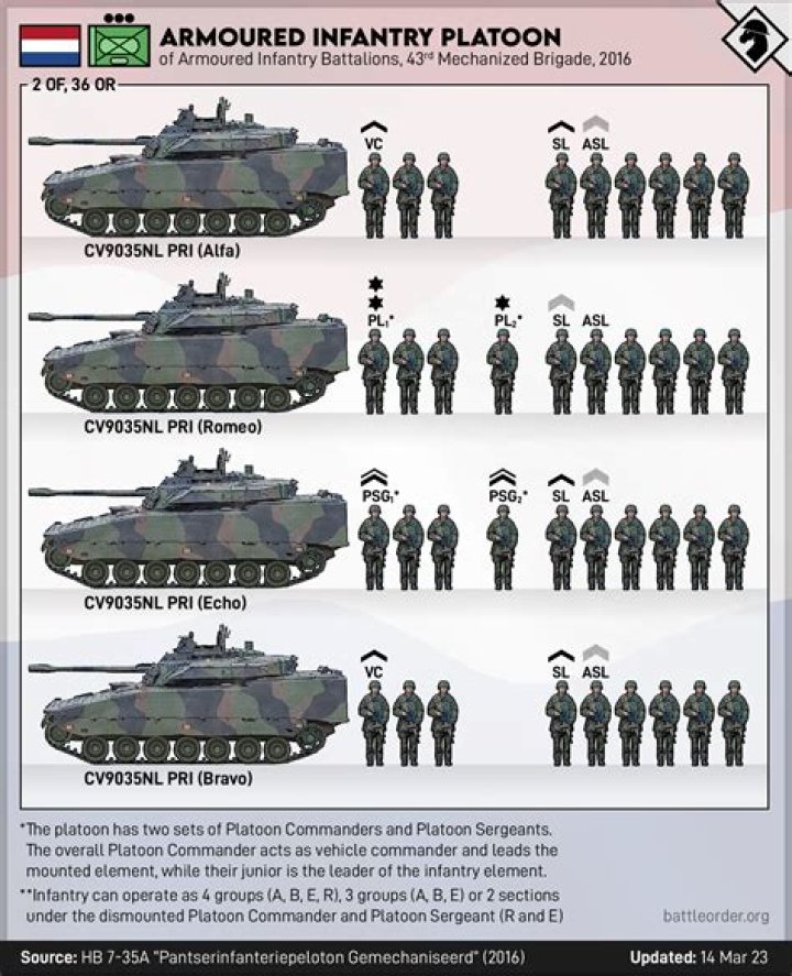 How fast does Army infantry promote?