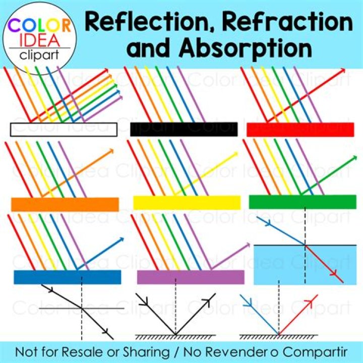 How is a color related to light absorption and reflection?