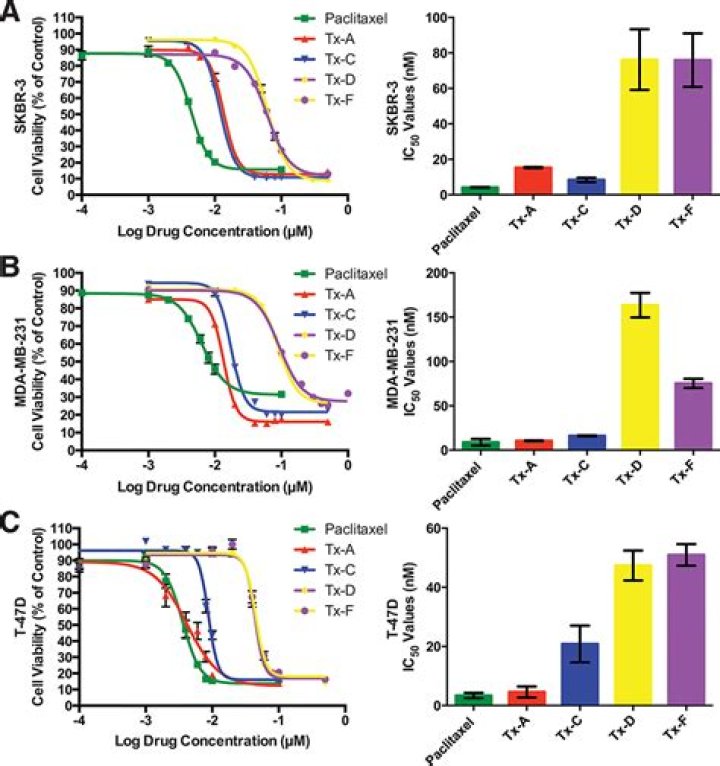 How is micromolar drug concentration prepared?