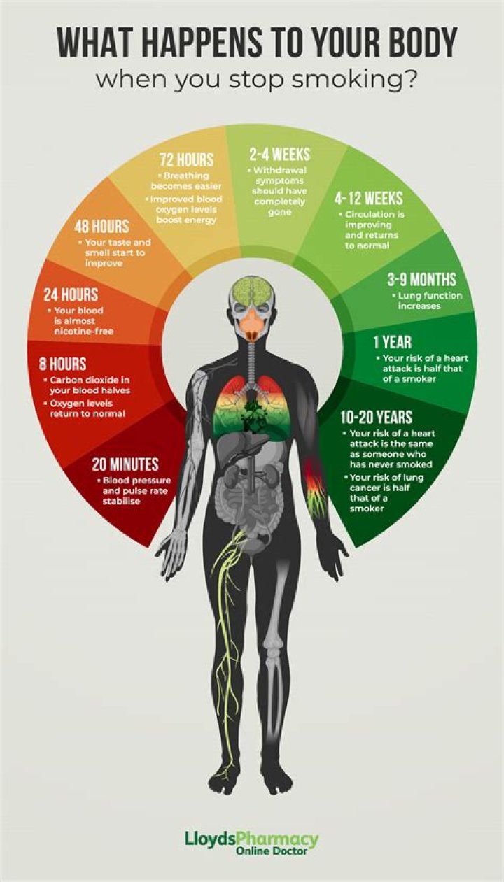 How long does it take for your body to detox after going vegan?