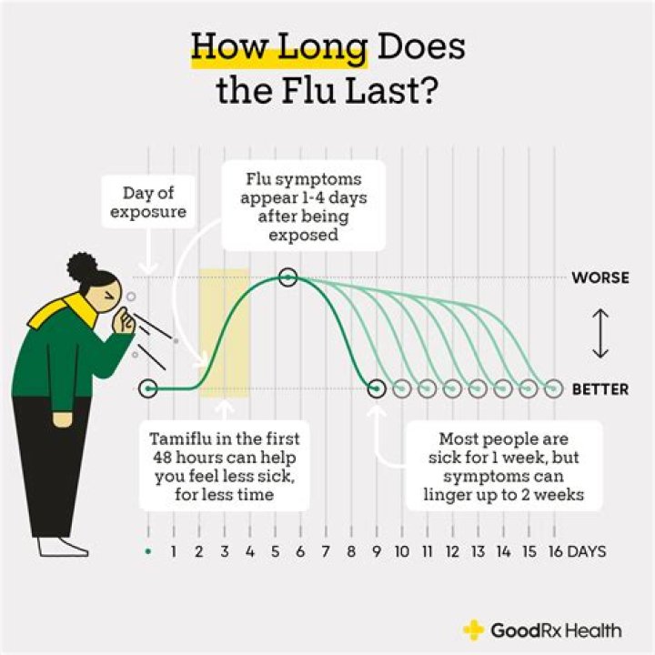 How long does the flu last Type B?
