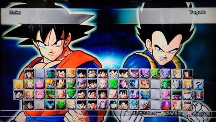 How many characters are in Dragon Ball Raging Blast 2?