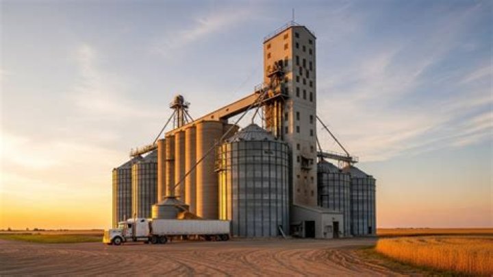 How many grain elevators in Thunder Bay?