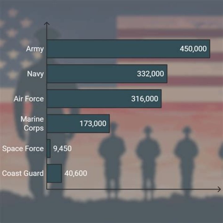 How many people were in the US military in 2006?